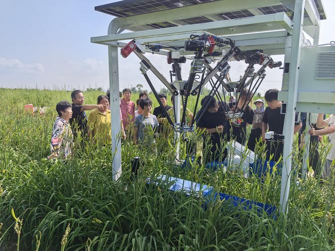 从田间到车间 首款黄花菜智能采摘机器人亮相大同背后的研发突围